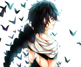 Картинка аниме magi+the+labyrinth+of+magic парень арт norellen judal magi the labyrinth of magic усмешка птицы