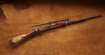 обоя оружие, винтовкиружьямушкетывинчестеры, винтовка, rifle, springfield, фон