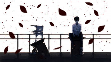 Картинка аниме *unknown+ другое книги лепестки белый фон сидит парень