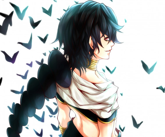 Обои картинки фото аниме, magi the labyrinth of magic, парень, арт, norellen, judal, magi, the, labyrinth, of, magic, усмешка, птицы