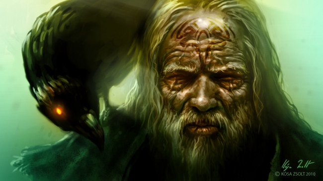 Обои картинки фото фэнтези, люди, ворон, человек