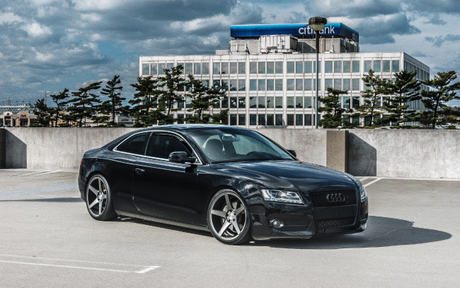 Обои картинки фото автомобили, audi