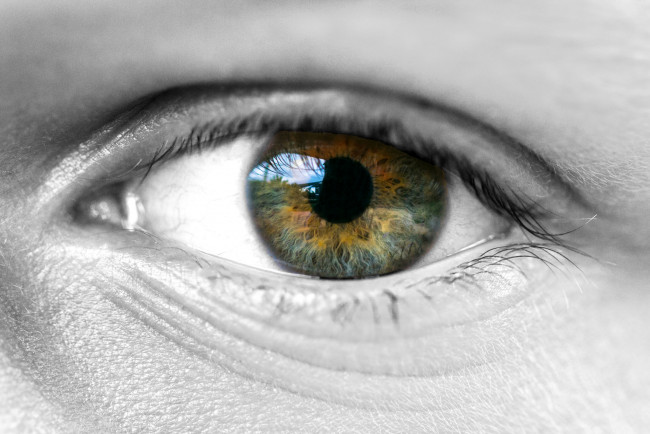 Обои картинки фото разное, глаза, глаз, зрачок, лицо