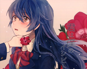 Картинка аниме love+live +school+idol+project девочка