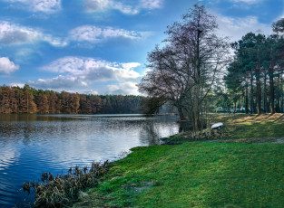 Картинка природа реки озера река лес