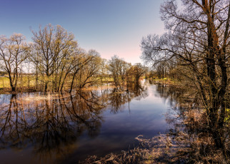 Картинка природа реки озера река лес