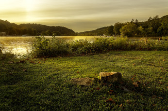 Картинка природа реки озера река лес