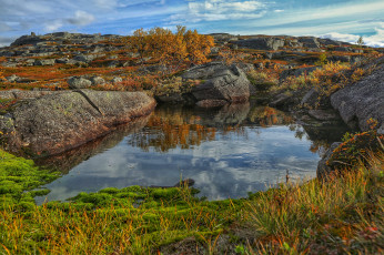 Картинка природа реки озера река лес