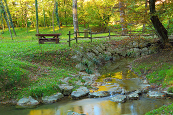 Картинка природа реки озера река лес