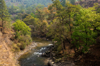 Картинка природа реки озера река лес