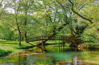 Картинка природа реки озера река лес