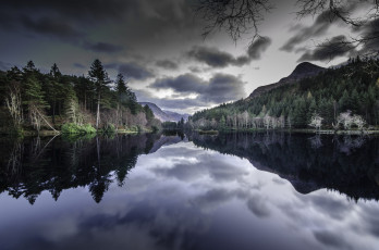 Картинка природа реки озера река лес