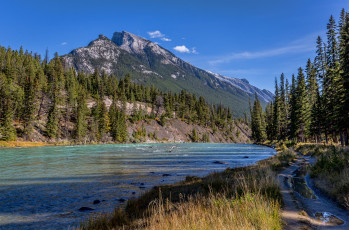 Картинка природа реки озера река лес