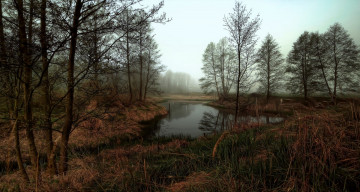 Картинка природа реки озера река лес