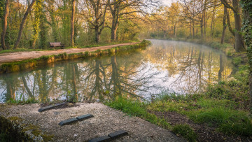 Картинка природа реки озера река лес