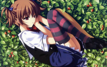 Картинка аниме grisaia+no+kajitsu art fumio grisaia no kajitsu makina irisu земляника ягоды полосатые чулки школьница