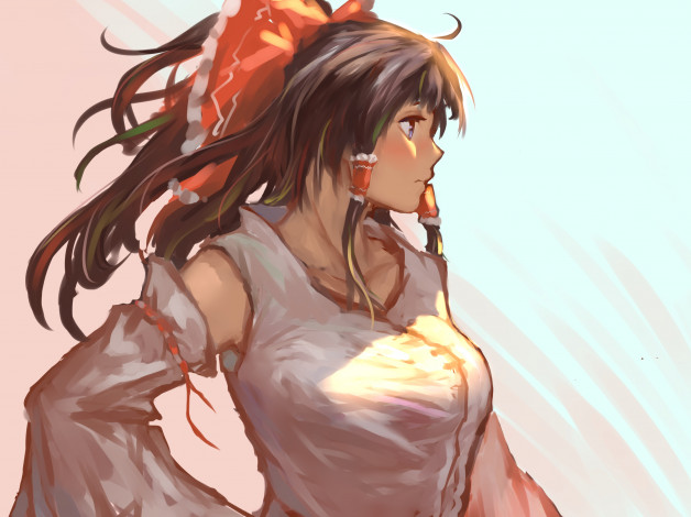 Обои картинки фото аниме, touhou, pauld, hakurei, reimu