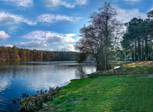 Обои картинки фото природа, реки, озера, река, лес