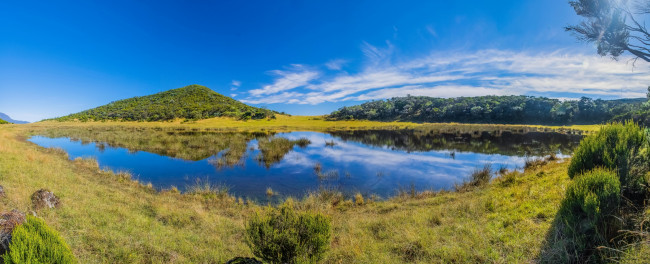 Обои картинки фото природа, реки, озера, река, лес