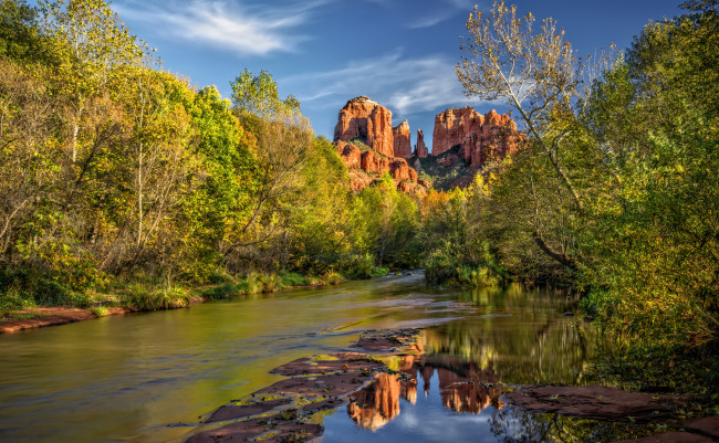 Обои картинки фото природа, реки, озера, река, лес