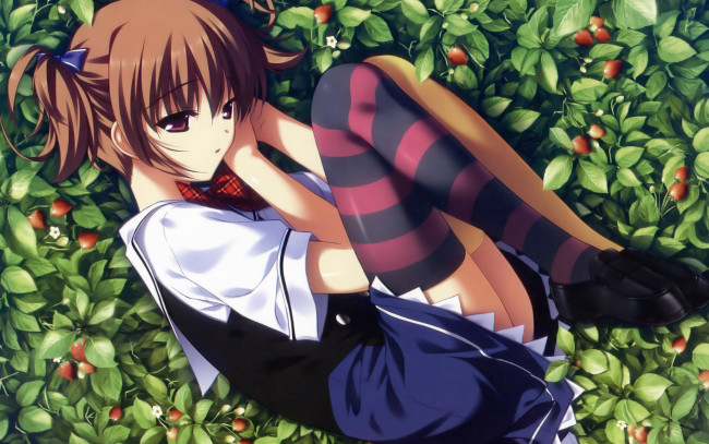 Обои картинки фото аниме, grisaia no kajitsu, art, fumio, grisaia, no, kajitsu, makina, irisu, земляника, ягоды, полосатые, чулки, школьница