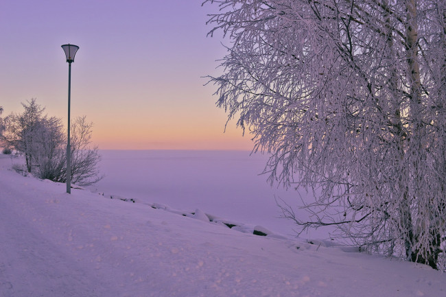 Обои картинки фото природа, зима, снег, утро