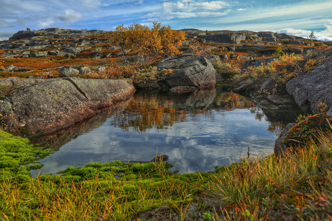 Обои картинки фото природа, реки, озера, река, лес