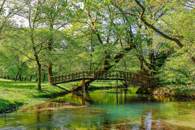 Обои картинки фото природа, реки, озера, река, лес