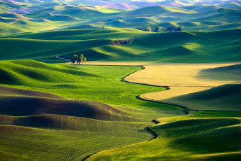 Картинка природа поля сша ковры зелень