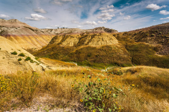 Картинка природа пейзажи простор