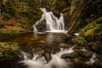 Картинка природа водопады лес река водопад