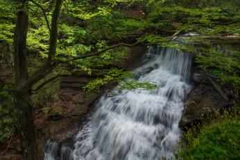 Картинка природа водопады лес река водопад