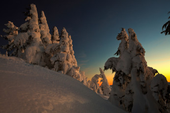 Картинка природа зима снег