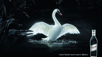 Картинка бренды бренды+напитков+ разное лебедь