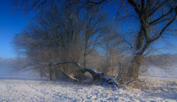 Картинка природа зима снег