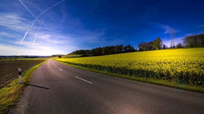 Обои картинки фото природа, дороги, дорога, нидервиль, швейцария, цветы, поле