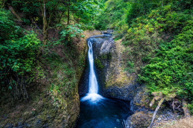 Обои картинки фото природа, водопады, водопад, река, лес