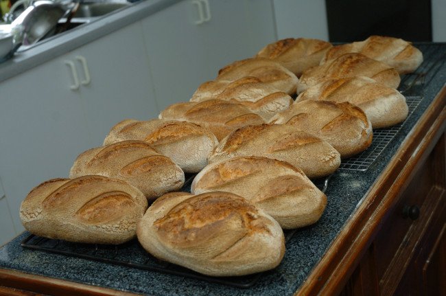 Обои картинки фото еда, хлеб,  выпечка, хлебушек