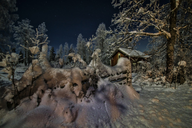 Обои картинки фото природа, зима, снег