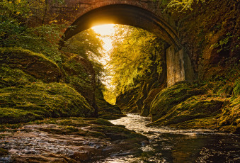 Картинка природа реки озера простор