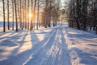 Картинка природа зима простор