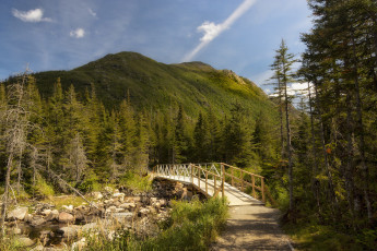 Картинка природа дороги простор