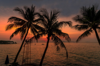 Картинка природа тропики простор