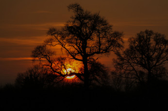 Картинка природа восходы закаты простор