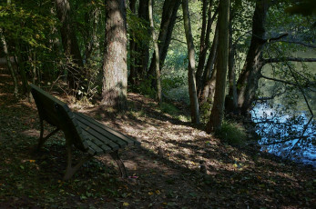 Картинка природа лес скамейка деревья водоем