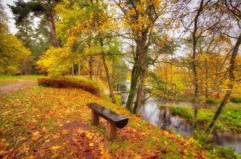 Картинка природа реки озера простор