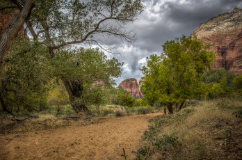 Картинка природа дороги простор