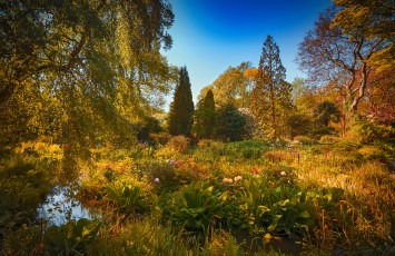 Картинка природа реки озера простор