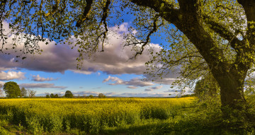 Картинка природа пейзажи простор