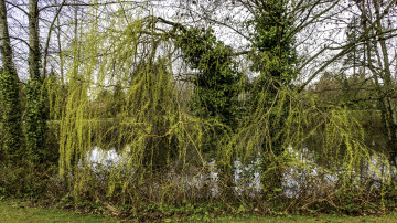 Картинка природа реки озера простор